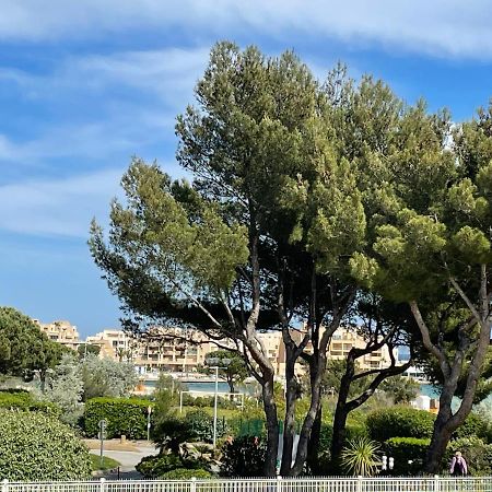 My Little Provence Bormes Les Mimosas Apartment Bagian luar foto